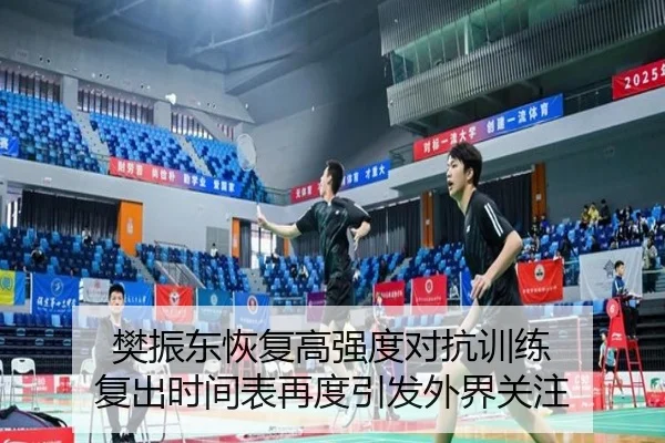 樊振东恢复高强度对抗训练 复出时间表再度引发外界关注