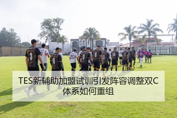 TES新辅助加盟试训引发阵容调整双C体系如何重组